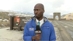 Reporter looking at bison Meme Template