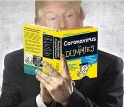 trump boris corona Meme Template