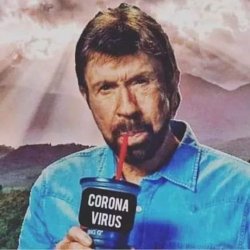 Chuck Norris Corona Meme Template