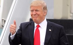 trump Meme Template