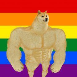 Gay ass doge Meme Template