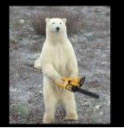 Chainsaw bear Meme Template