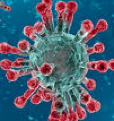 Virus Meme Template