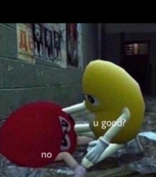 u good? no. Meme Template