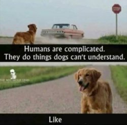 Humans are complicated Meme Template