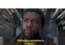 Wakanda nonsense is this Meme Template