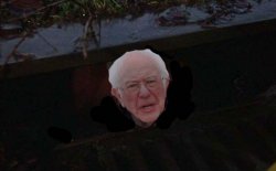 Bernie in Sewer Meme Template