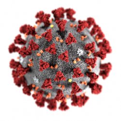 coronavirus Meme Template