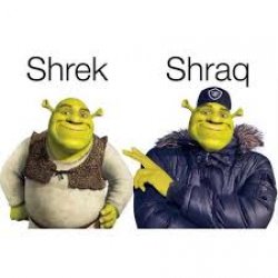 shrek vs shraq Meme Template