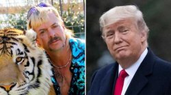 Joe exotic and trump Meme Template