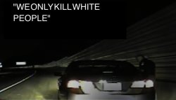 Racist Cop tells woman not to worry, "we only kill white people" Meme Template