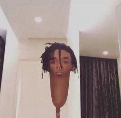 Lil Corndog Vert Meme Template