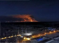 Cher wild Meme Template