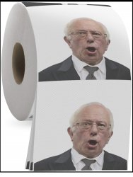 Bernie Sanders Meme Template