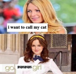 gossip girl text Meme Template