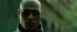 Matrix Morpheus Large 1918x798 Meme Template