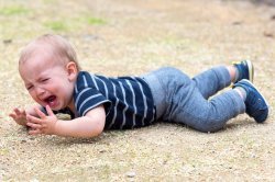 Toddler tantrum Meme Template