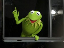 Rana Rene Por La Ventana Meme Template