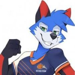 SonicFox Meme Template