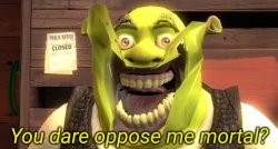 Shrek you dare oppose me mortal? Meme Template