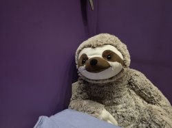 stephano the sloth Meme Template