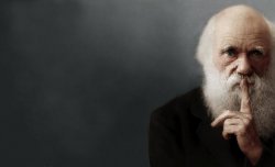 Darwin Meme Template