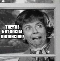 Gladys Kravitz Meme Template