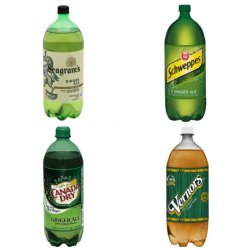 Ginger Ale Debate Meme Template