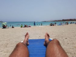 hairy legs sunbathing beach Meme Template