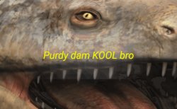 Purdy Dam KOOL Bro Meme Template