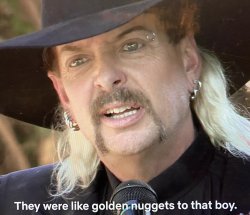 Joe Exotic Golden Nuggets Meme Template