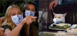 woman yelling at cat medical masks Meme Template