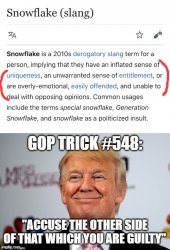 Donald Trump Snowflake Meme Template
