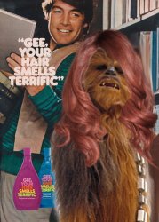 Gee, Chewy, your hair smells terrific Meme Template