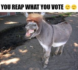 You Reap What You Vote Meme Template