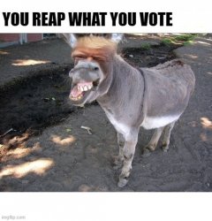 You Reap What You Vote Meme Template