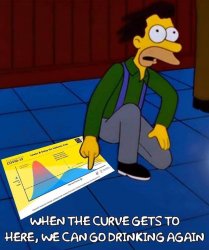 Covid-Curve-Lenny Meme Template