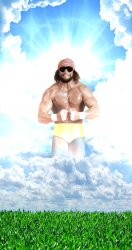 Randy Savage, Macho Man, heaven Meme Template