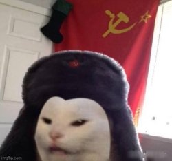 RUSSIAN CAT Meme Template