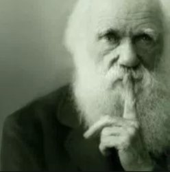 Darwin Shh Meme Template