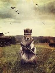Soldier squirrel Meme Template