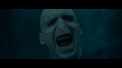 Harry Potter Voldemort Duel Meme Generator - Imgflip