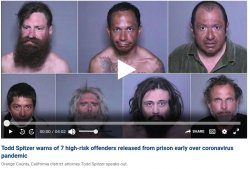 Sex offenders released "due to covid" Meme Template