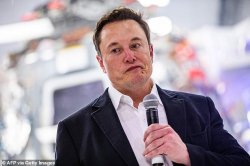 Elon Musk Face Meme Template