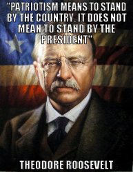 Teddy Roosevelt quote patriotism president Meme Template