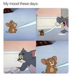 My Mood these days Meme Template