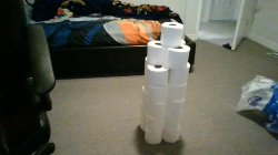 toilet paper tower Meme Template