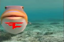 Faze Gilbert Meme Template