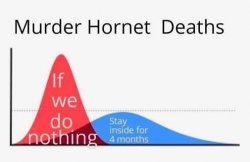 Murder Hornet Deaths Meme Template