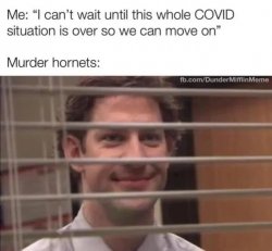 murder hornets Meme Template